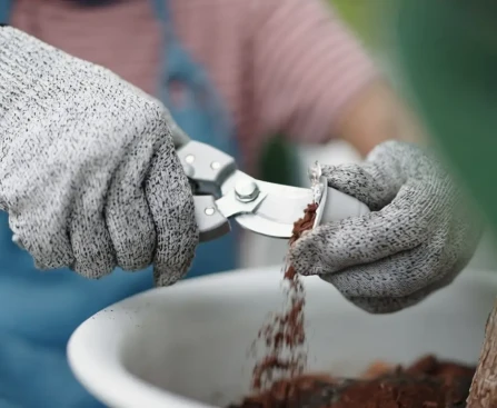 marc de café séché posé près de plantes vertes sur un balcon